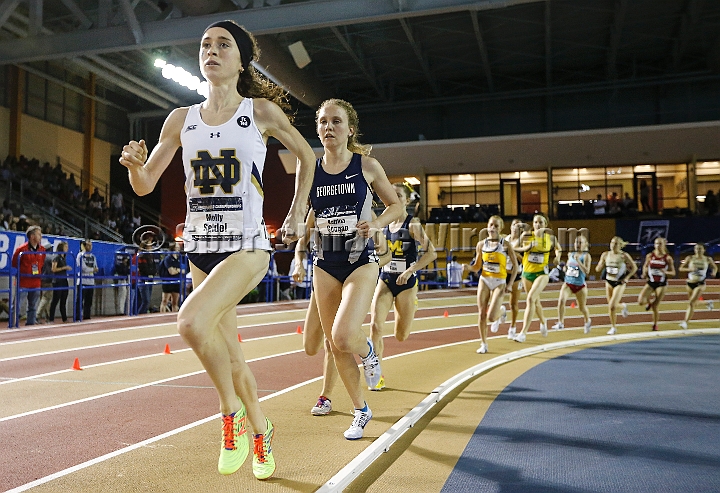 2016NCAAIndoorsSat-0111.JPG - Molly Seidel of Notre Dame won the womens 3,000m in 8:57.86 during the NCAA Indoor Track & Field Championships Saturday, March 12, 2016, in Birmingham, Ala. (Spencer Allen/IOS via AP Images)